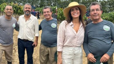 Fazenda em Linhares vira cenário da novela "Renascer" e o Em Dia ES te conta todos os bastidores
