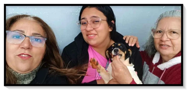 Cachorrinha estava no avião que caiu em SP com venezuelanas que voltariam ao país: ‘Não foi deixada pra trás’