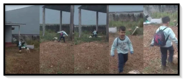 Vídeo mostra menino venezuelano brincando com sua cadelinha minutos antes; os dois faleceram na queda do avião