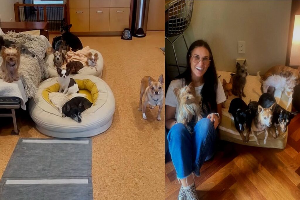 Demi Moore revela o segredo por trás de sua vida de solteira: 'Excêntrica'