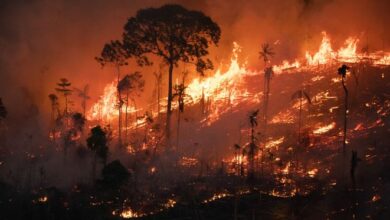Lula anuncia criação de autoridade climática em meio a queimadas