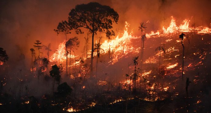 Lula anuncia criação de autoridade climática em meio a queimadas
