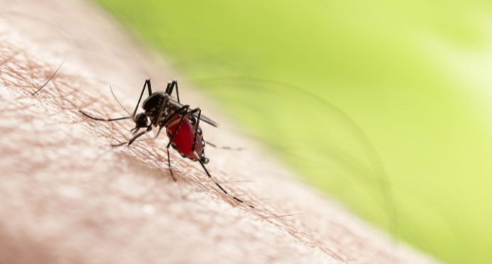 Novo plano de ação prevê reduzir impactos da dengue e outras arboviroses no ES