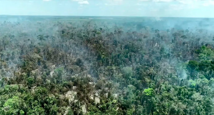 PM2.5, CO, COV e NOx: o que há na fumaça tóxica das queimadas e por que ela é nociva para nosso organismo