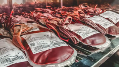 STF pode julgar nesta quarta se testemunhas de Jeová podem fazer cirurgia sem transfusão de sangue