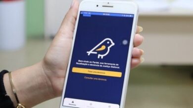 TSE recebe mais de 1,6 mil denúncias de propaganda irregular no ES em um mês de campanha