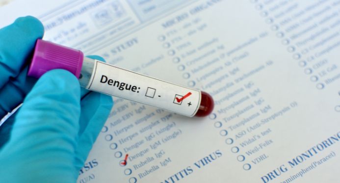 Dia Nacional de Combate à Dengue reforça a importância da prevenção no Espírito Santo