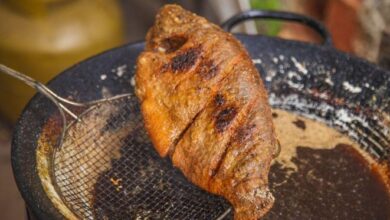 Festival Gastronômico e Festa do Robalo acontecem neste final de semana em Povoação
