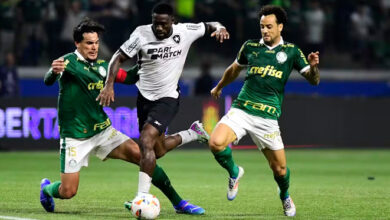 Palmeiras e Botafogo jogam por liderança do Campeonato Brasileiro