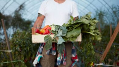 União destina R$ 500 milhões para fortalecer crédito à agricultura familiar