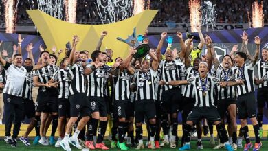 Botafogo vence São Paulo e conquista o Campeonato Brasileiro após 29 anos