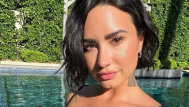 Selfie Demi Lovato