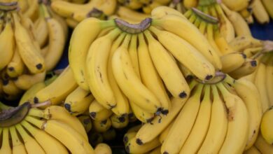 Festa da Banana em Cariacica terá 12 horas de programação cultural e gastronômica neste domingo (8)
