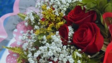 Flores de Isis Valverde