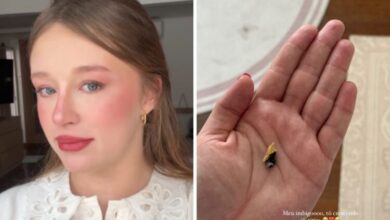 Duda Reis mostra umbigo da filha Aurora