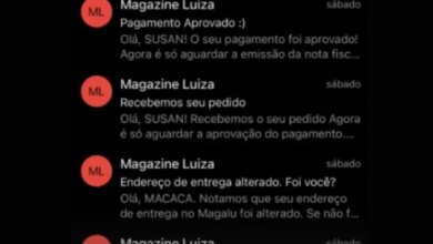 ‘Olá, macaca’: Mulher sofre racismo e denuncia Magazine Luiza por injúria racial após receber e-mail da loja