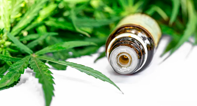 Anvisa propõe venda de Cannabis medicinal em farmácia de manipulação