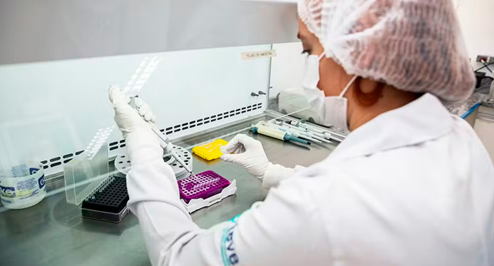 Anvisa aprova registro de vacina contra chikungunya desenvolvida pelo Instituto Butantan