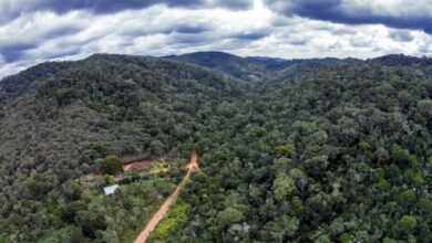 Documentário sobre corredor ecológico em Santa Teresa começa a ser produzido