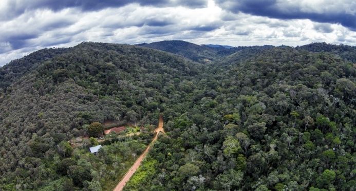 Documentário sobre corredor ecológico em Santa Teresa começa a ser produzido