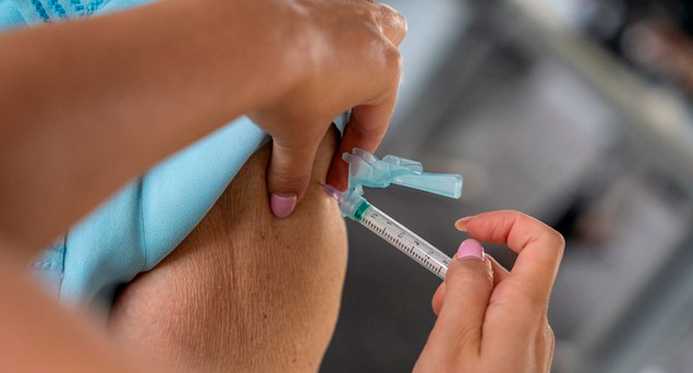 Ministério da Saúde pedirá incorporação da vacina contra Chikungunya no SUS