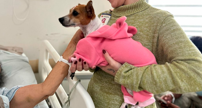 Pet Terapia: Hospital Estadual Dr. Jayme Santos Neves recebe visitantes ilustres