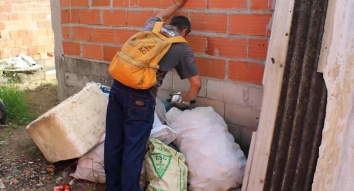 Jaguaré registra 227 casos confirmados de chikungunya em 2025 e emite alerta à população