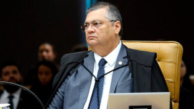 Dino diz que veto a leis estrangeiras não atinge Cortes Internacionais