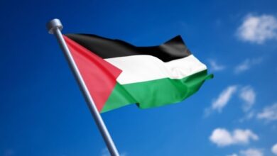 Governo brasileiro comemora avanço do reconhecimento do Estado da Palestina pelo mundo
