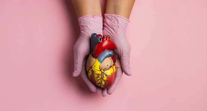 Coração em xeque: doenças cardiovasculares matam 400 mil brasileiros por ano