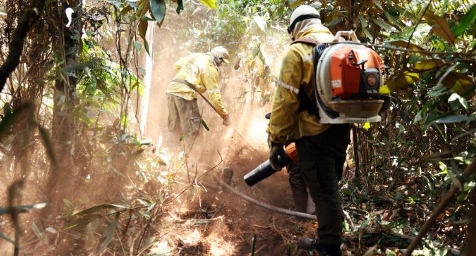 Queimadas têm queda histórica e atingem o menor nível em agosto desde 1998
