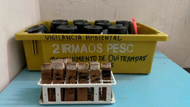 Sesa amplia vigilância do Aedes aegypti com ovitrampas e alcança 34 municípios