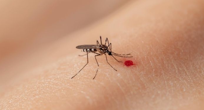 Brasil aprova a primeira vacina de dose única contra a dengue