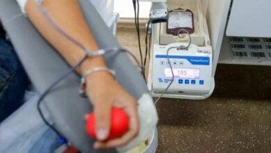 Dia do Doador: Hemoes coleta mais de 230 bolsas e pede continuidade das doações