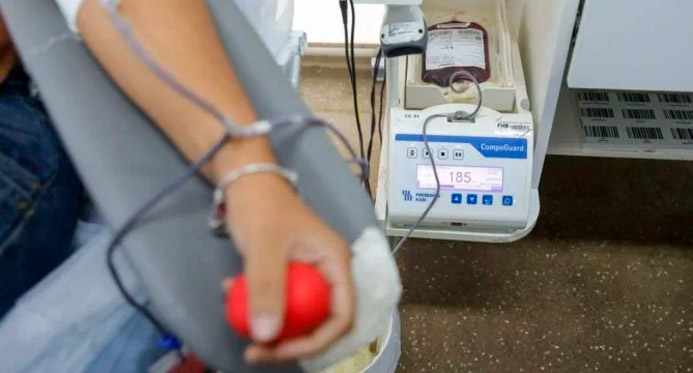 Dia do Doador: Hemoes coleta mais de 230 bolsas e pede continuidade das doações