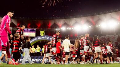 Palmeiras, Flamengo e Cruzeiro: as chances de título brasileiro após a 33ª rodada