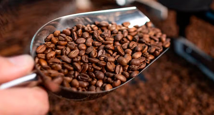 Trump promete cortar tarifas de importação do café para baratear custos nos EUA