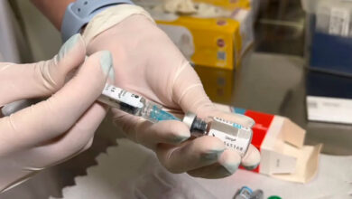 Vacina contra dengue protege contra hospitalização mesmo após 7 anos
