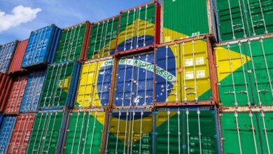 Brasil abre 500 novos mercados para o agro e prevê recorde histórico nas exportações