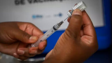 Vacina da dengue brasileira começa a ser aplicada em profissionais da saúde em janeiro