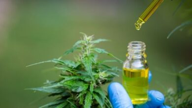 Anvisa libera manipulação e amplia acesso à cannabis medicinal em farmácias