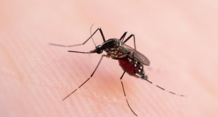 ES amplia tecnologias contra a dengue no primeiro ano do Centro de Arboviroses