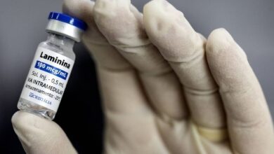 Polilaminina é autorizada para testes em humanos e avança para fase clínica