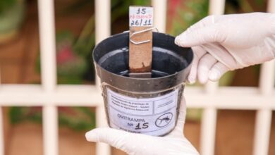 Armadilhas inteligentes tem ajudado a monitorar mosquito Aedes aegypti