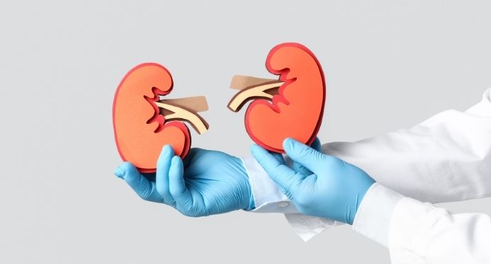 Dia Mundial do Rim: Doença renal afeta 315 mil capixabas; veja onde fazer exames e consultas pelo SUS no ES