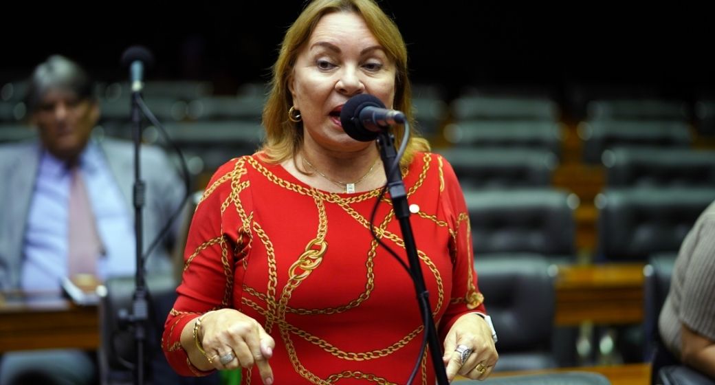 PF diz que deputada do MDB era 'articuladora política' de esquema de fraudes no INSS