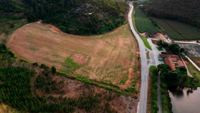 Governo do ES cria Distrito Turístico de Pindobas para impulsionar negócios e infraestrutura