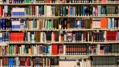 MEC lança aplicativo gratuito com 8 mil livros de autores como Clarice Lispector e Ariano Suassuna