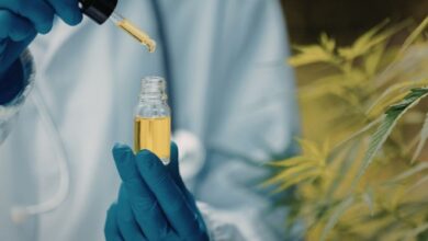 ES regulamenta fornecimento gratuito de medicamentos à base de cannabis pelo SUS