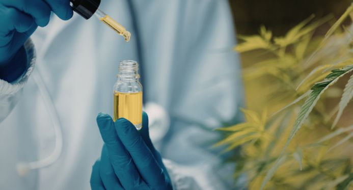 ES regulamenta fornecimento gratuito de medicamentos à base de cannabis pelo SUS